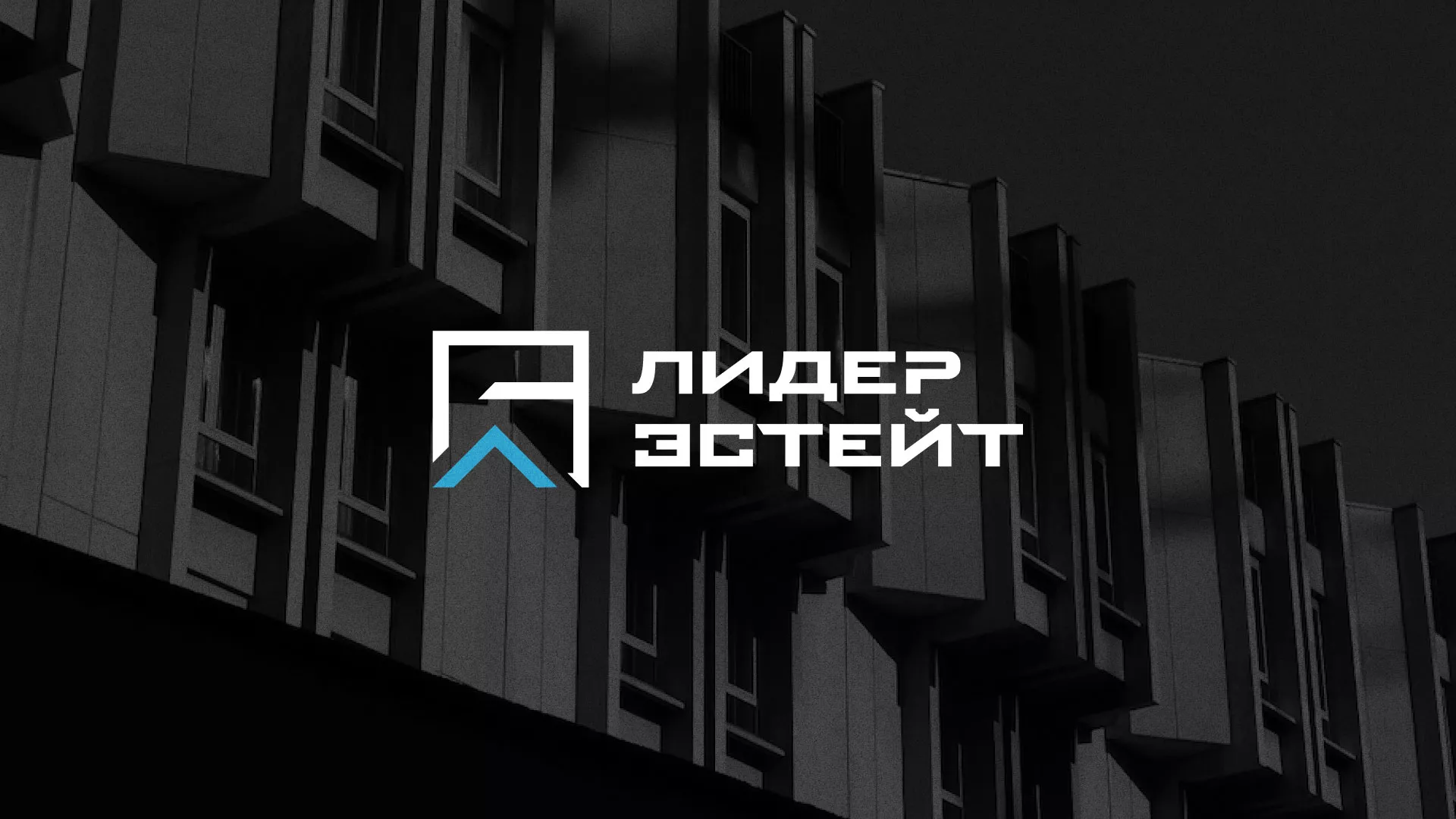 Разработка логотипа агентства недвижимости «Лидер Эстейт» в Абазе